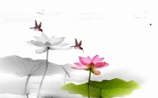 2025年06月14日动土黄道吉日 宜动土吉日查询 2025年06月14日动土黄道吉日 宜动土吉日查询