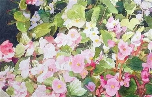 2025年农历十月初十是动土好日子吗 动土吉利吗 2025年农历十月初十是动土好日子吗 动土吉利吗