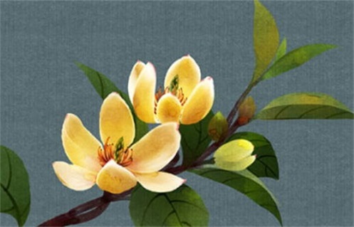 2024年农历九月十五是不是动土吉日 宜建筑房屋吉日查询 2024年农历九月十五是不是动土吉日 宜建筑房屋吉日查询