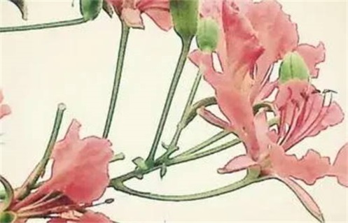 2024年农历十月初八动土日子如何 动土吉利吗 2024年农历十月初八动土日子如何 动土吉利吗