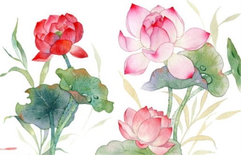 2026年农历腊月初十动土黄道吉日 今日建筑房屋好不好 2026年农历腊月初十动土黄道吉日 今日建筑房屋好不好