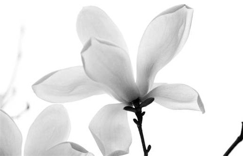 2025年10月01日动土好吗 宜动土吉日查询 2025年10月01日动土好吗 宜动土吉日查询