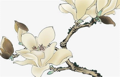 2025年农历十月初七动土日子如何 是动土建房好日子吗 2025年农历十月初七动土日子如何 是动土建房好日子吗