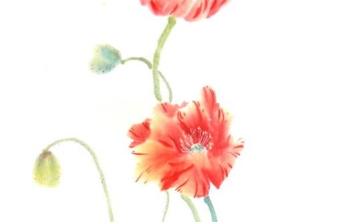 2024年12月13日动土日子如何 建筑房屋吉利吗 2024年12月13日动土日子如何 建筑房屋吉利吗