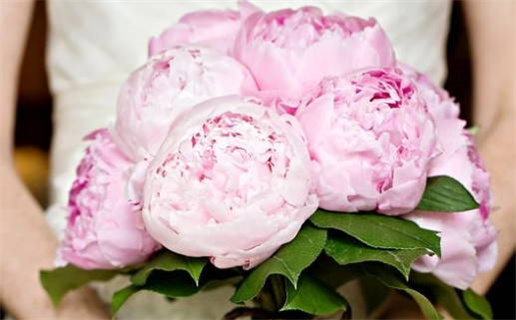 2025年农历五月初七结婚日子如何 办婚礼吉利吗 2025年农历五月初七结婚日子如何 办婚礼吉利吗