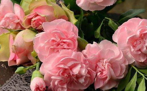 2025年01月13日是结婚好日子吗 适不适合办喜事 2025年01月13日是结婚好日子吗 适不适合办喜事