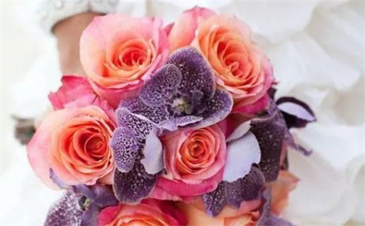 2024年农历十月廿四结婚好吗 今日办婚礼好吗