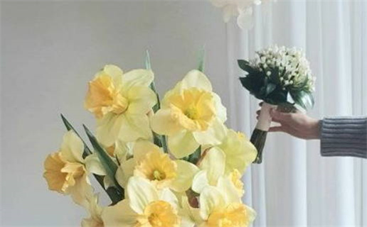 2025年10月27日是领证好日子吗 宜登记领证吉日查询 2025年10月27日是领证好日子吗 宜登记领证吉日查询