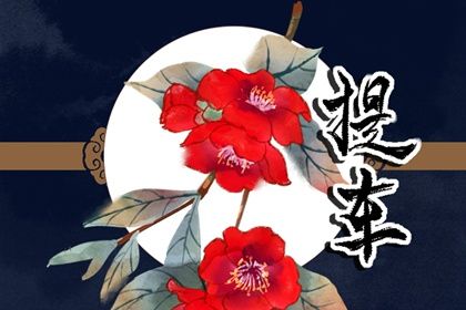 2024年11月13日是不是提车吉日 提新车吉利吗