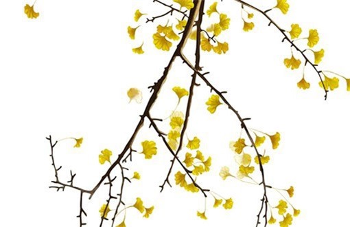 2025年10月11日是不是装修吉日 装修新房吉利吗 2025年10月11日是不是装修吉日 装修新房吉利吗