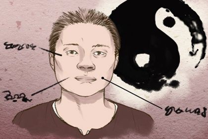 什么是面相学 面相学有科学依据吗 什么是面相学 面相学有科学依据吗