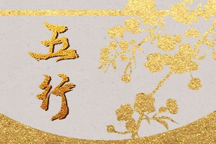 1982年五行属什么命缺什么 1982年的年份特点 1982年五行属什么命缺什么 1982年的年份特点