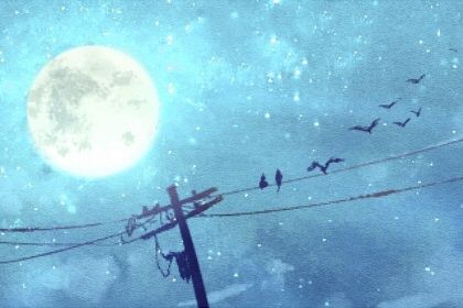 2023年兔年几两几钱 2023年出生的属兔人命运 2023年兔年几两几钱 2023年出生的属兔人命运