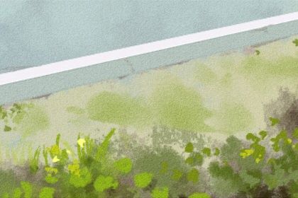 3.8两女命 三两八钱女命详解一生 3.8两女命 三两八钱女命详解一生