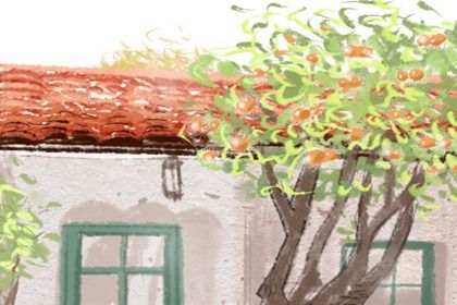 梅花易数化解方法 梅花易数如何预测运势 梅花易数化解方法 梅花易数如何预测运势