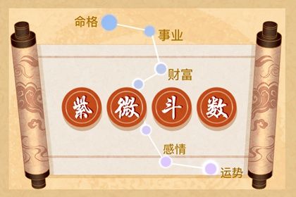 紫微斗数命主巨门身主文昌 一帆风顺福寿双全