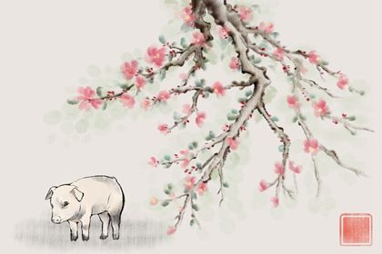 95年属猪的婚姻走势 属猪人2024年桃花运 95年属猪的婚姻走势 属猪人2024年桃花运