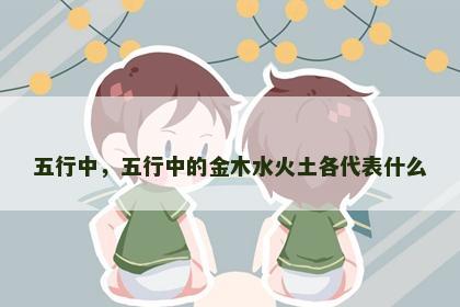 五行中，五行中的金木水火土各代表什么