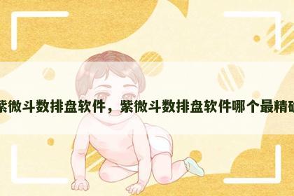 紫微斗数排盘软件,紫微斗数排盘软件哪个最精确 紫微斗数排盘软件,紫微斗数排盘软件哪个最精确