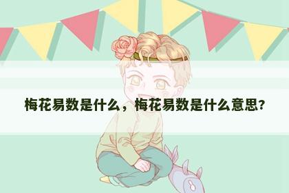 梅花易数是什么，梅花易数是什么意思?