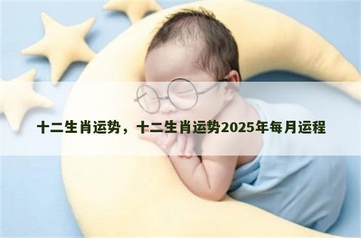 十二生肖运势,十二生肖运势2025年每月运程 十二生肖运势,十二生肖运势2025年每月运程