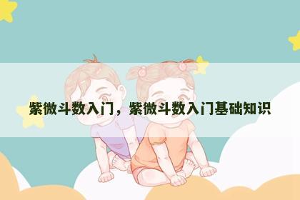 紫微斗数入门，紫微斗数入门基础知识