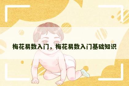 梅花易数入门，梅花易数入门基础知识