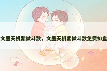 文墨天机紫微斗数，文墨天机紫微斗数免费排盘