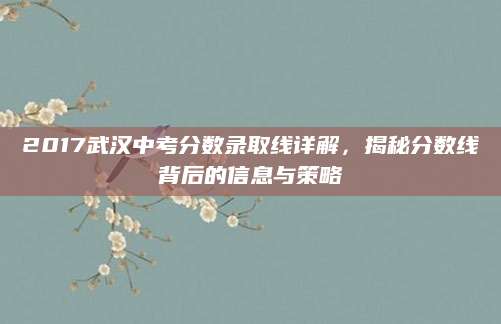 2017武汉中考分数录取线详解，揭秘分数线背后的信息与策略