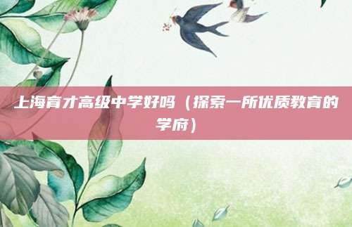 上海育才高级中学好吗（探索一所优质教育的学府）