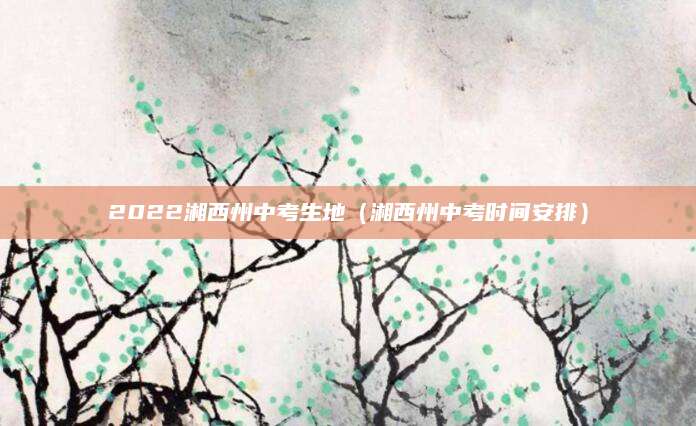 徐州初三语文试卷（如何高效应对中考挑战？）