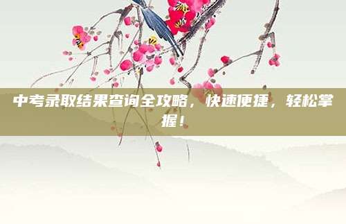 中考录取结果查询全攻略，快速便捷，轻松掌握！