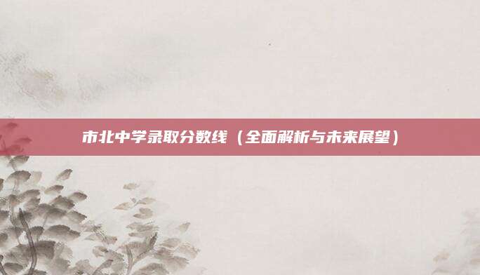 市北中学录取分数线（全面解析与未来展望）