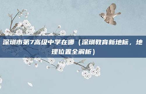 深圳市第7高级中学在哪（深圳教育新地标，地理位置全解析）