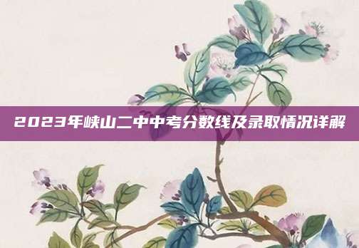 2023年峡山二中中考分数线及录取情况详解
