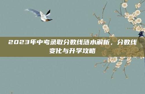 2023年中考录取分数线涟水解析，分数线变化与升学攻略