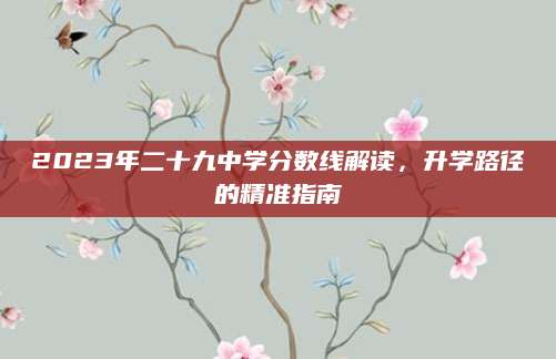 2023年二十九中学分数线解读，升学路径的精准指南