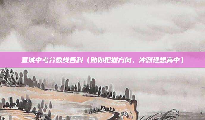 宣城中考分数线各科（助你把握方向，冲刺理想高中）
