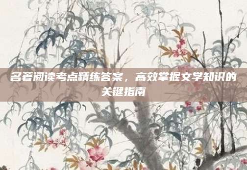 名著阅读考点精练答案，高效掌握文学知识的关键指南