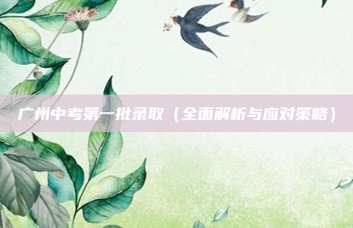 广州中考第一批录取（全面解析与应对策略）