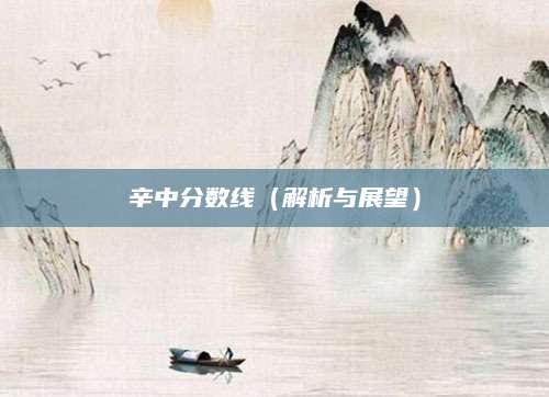 辛中分数线（解析与展望）