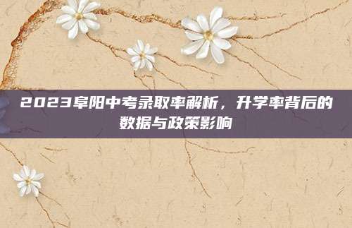 2023阜阳中考录取率解析，升学率背后的数据与政策影响