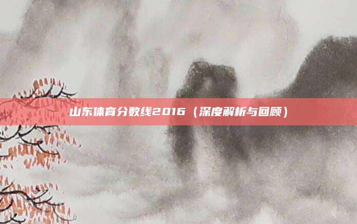 山东体育分数线2016（深度解析与回顾）