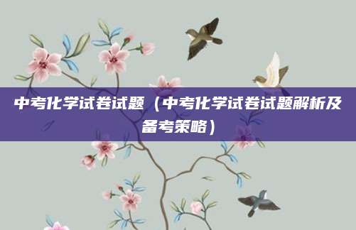中考化学试卷试题（中考化学试卷试题解析及备考策略）