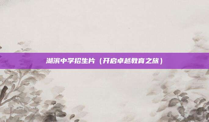 湖滨中学招生片（开启卓越教育之旅）