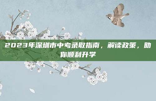 2023年深圳市中考录取指南，解读政策，助你顺利升学