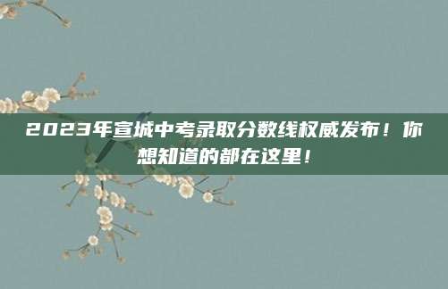 2023年宣城中考录取分数线权威发布！你想知道的都在这里！