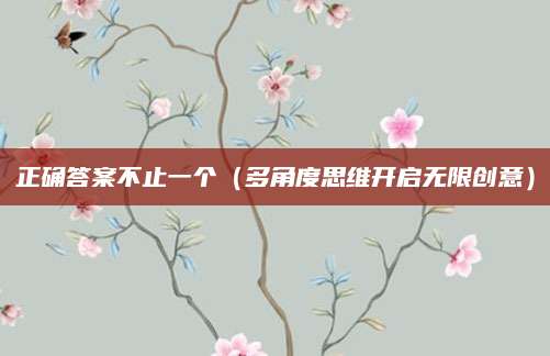 正确答案不止一个（多角度思维开启无限创意）