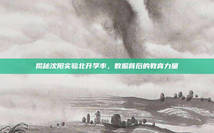 揭秘沈阳实验北升学率，数据背后的教育力量