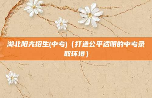 湖北阳光招生(中考)（打造公平透明的中考录取环境）